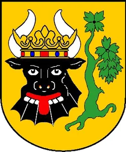 Wappen Gadebusch (Landkreis Nordwestmecklenburg)