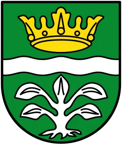 Wappen Mayen (Landkreis)