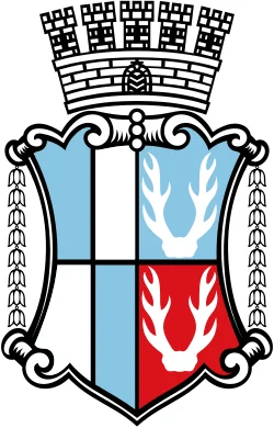 Wappen Selb (Landkreis Wunsiedel)