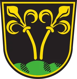 Wappen Traunstein (Landkreis Traunstein)